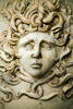 Medusa head
