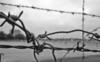 Barbed wire