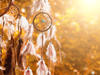 dream catchers