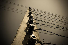 barbed-wire fence