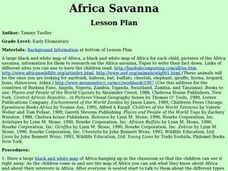 Africa Savanna Activity