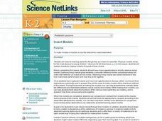 Insect Models Lesson Plan