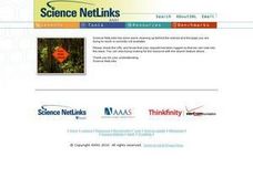 Plants 2: Plant Propagation Lesson Plan