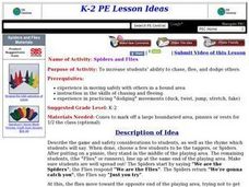Spiders and Flies Lesson Plan