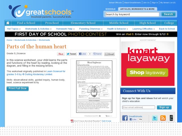 Blood Highways Worksheet