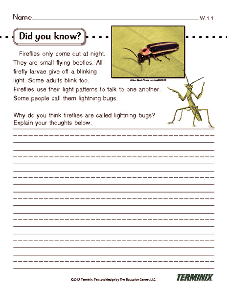 Did You Know? Worksheet