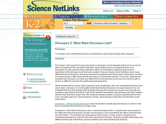 Dinosaurs 2: What Were Dinosaurs Like? Lesson Plan
