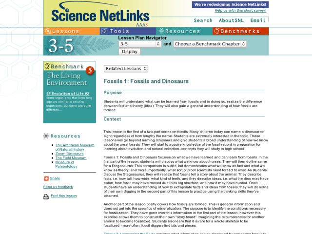 Fossils and Dinosaurs Lesson Plan