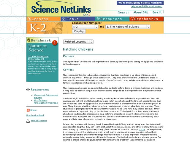 Hatching Chickens Lesson Plan