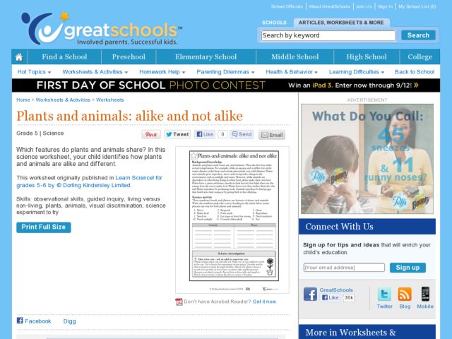 Plants and Animals: Alike and Not Alike Worksheet