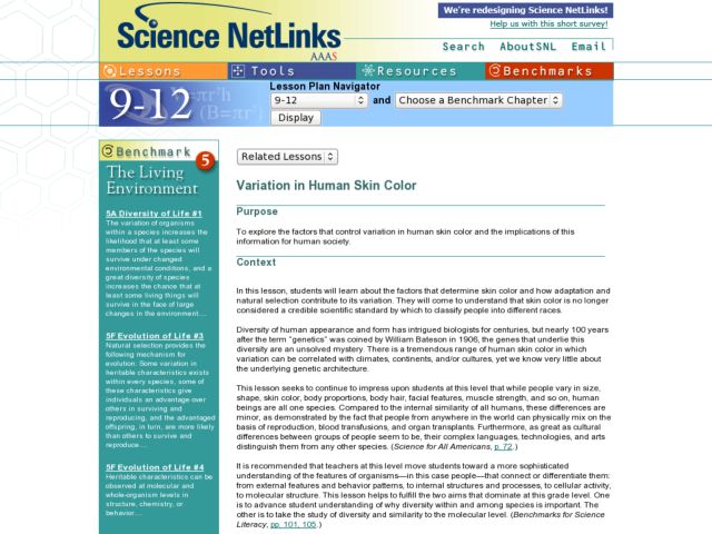 Variation in Human Skin Color Lesson Plan