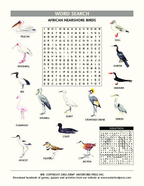 African Nearshore Birds Lesson Plan