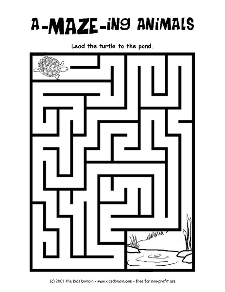 Amazing Animals Worksheet