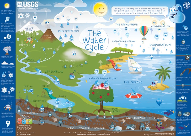 Water Cycle Poster Printables