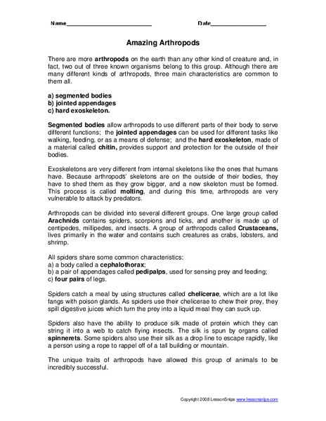 Amazing Arthropods Worksheet