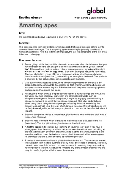 Amazing Apes Lesson Plan
