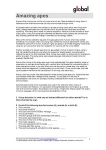 Amazing Apes Worksheet