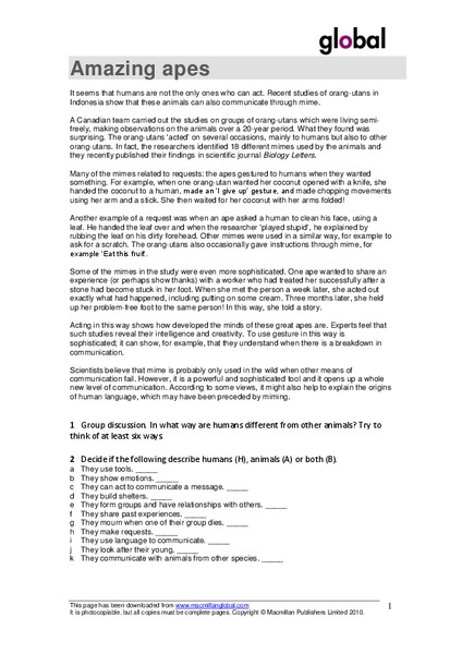 Amazing Apes Worksheet