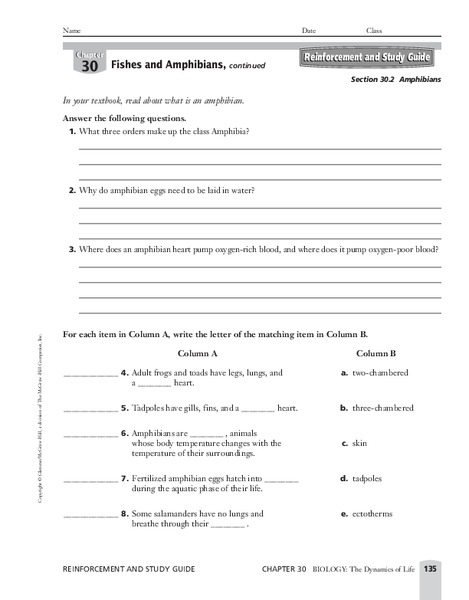 Amphibians Worksheet