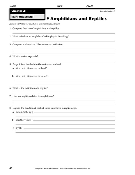 Amphibians and Reptiles Worksheet