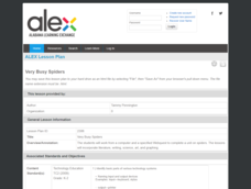 Very Busy Spiders Lesson Plan