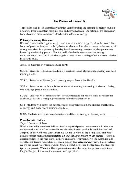 The Power of Peanuts Lesson Plan