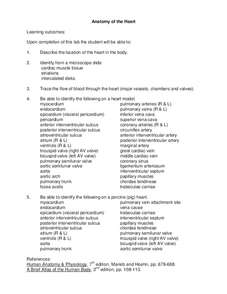 Anatomy of the Heart Lesson Plan