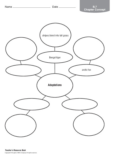 Animal Adaptations Organizer