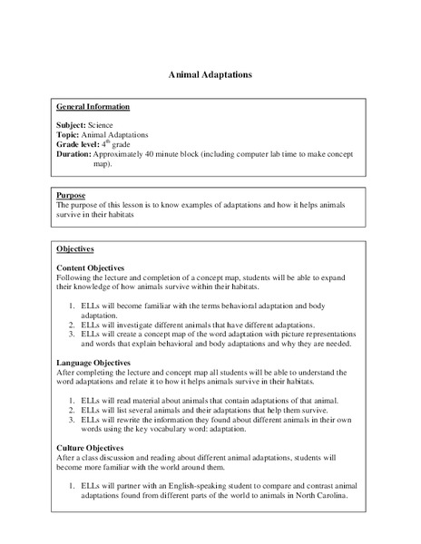 Animal Adaptations Lesson Plan