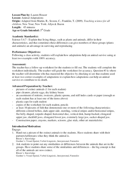 Animal Adaptations Lesson Plan