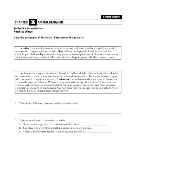 Animal Behavior Worksheet