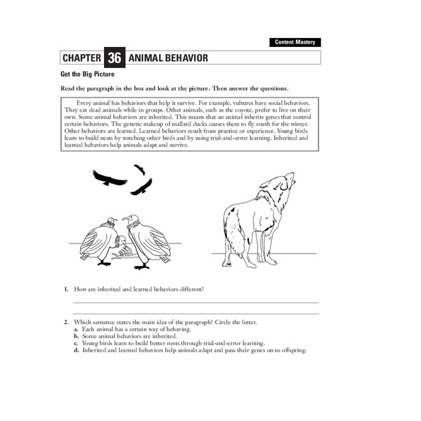 Animal Behavior Worksheet