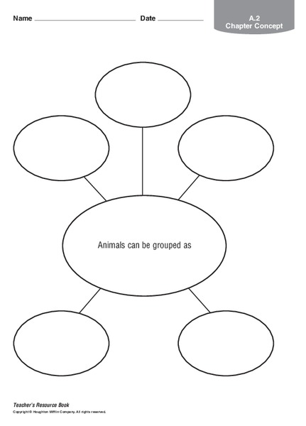 Animal Classification Organizer