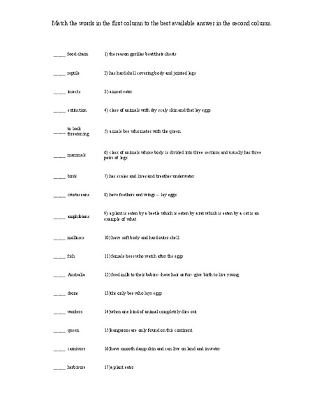 Animal Classification Worksheet