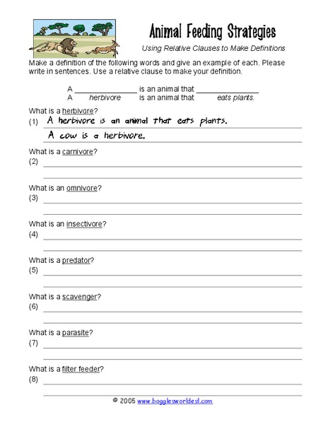 Animal Feeding Strategies Worksheet