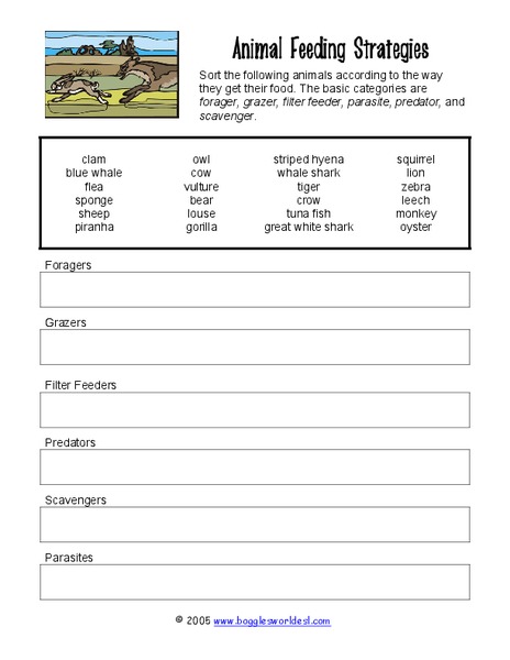 Animal Feeding Strategies Organizer