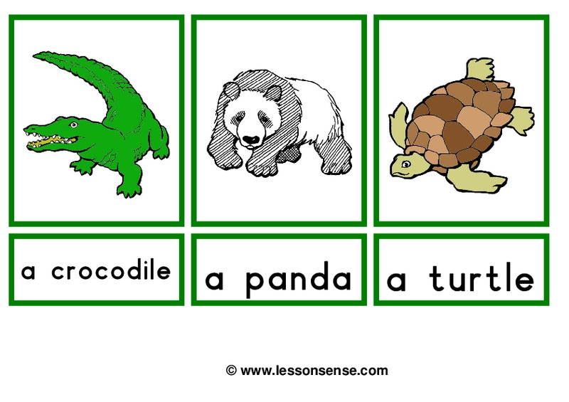 Animal Flashcards Worksheet