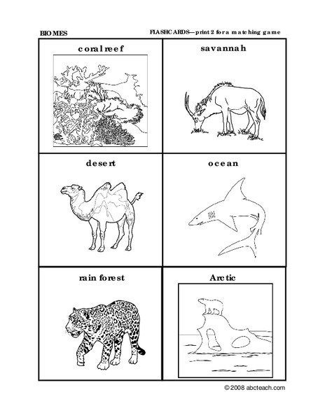 Animal Habitats Worksheet