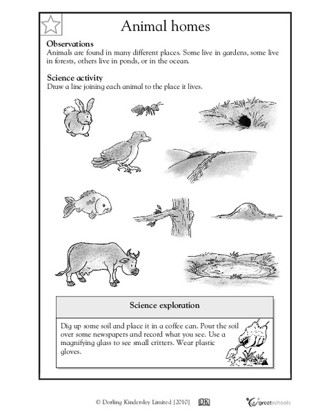 Animal Homes Worksheet