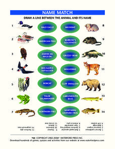 Animal Name Match Lesson Plan