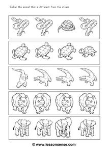 Animals Galore Worksheet