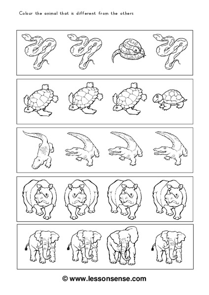 Animals Galore Worksheet