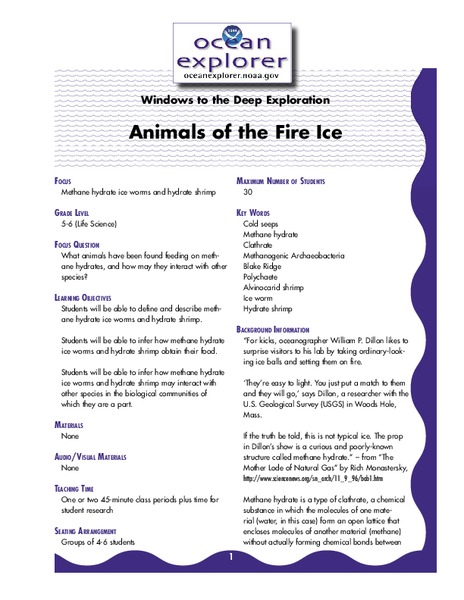 Animals of the Fire Ice Lesson Plan