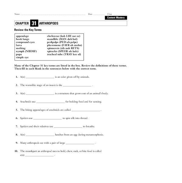 Arthropods Worksheet