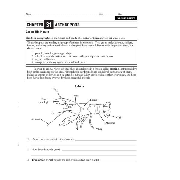 Arthropods Worksheet