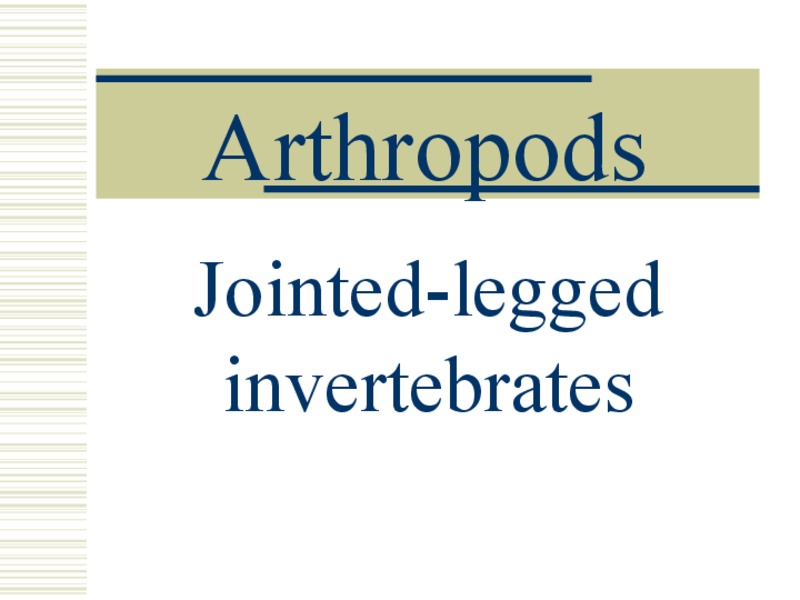 Arthropods PPT