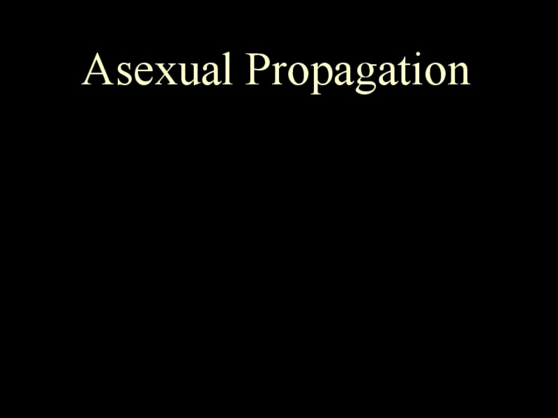Asexual Propagation PPT