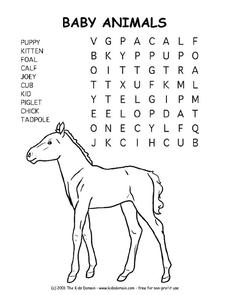 Baby Animals Worksheet