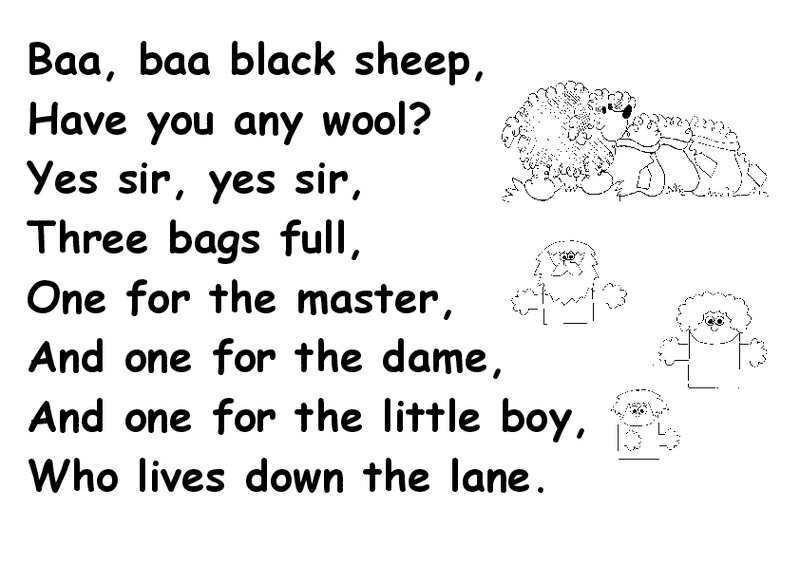 Baa, Baa Black Sheep Organizer
