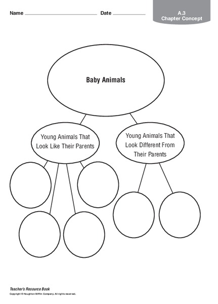 Baby Animals Organizer